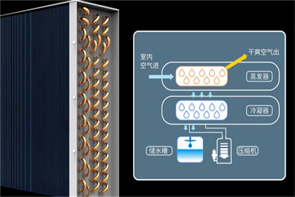 工业芭乐APP下载官网入口新版要怎么维护才能延长使用寿命