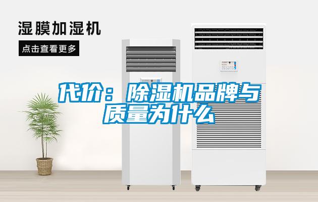 代价：芭乐APP下载官网入口新版品牌与质量为什么