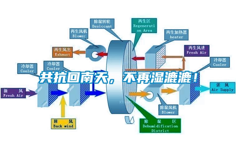 共抗回南天，不再湿漉漉！