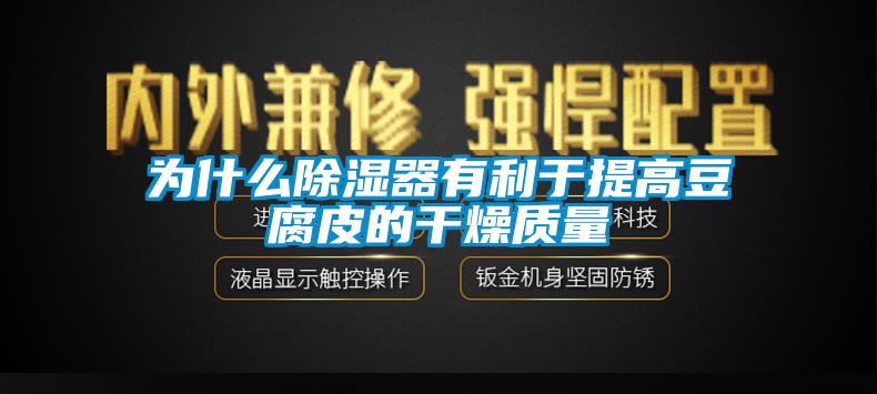 为什么除湿器有利于提高豆腐皮的干燥质量