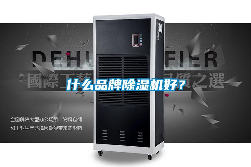 什么品牌芭乐APP下载官网入口新版好？