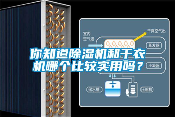 你知道芭乐APP下载官网入口新版和干衣机哪个比较实用吗？