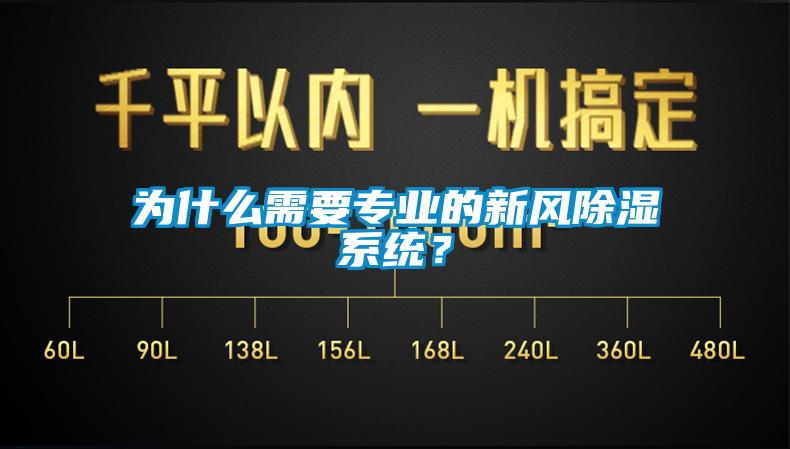 为什么需要专业的新风除湿系统？