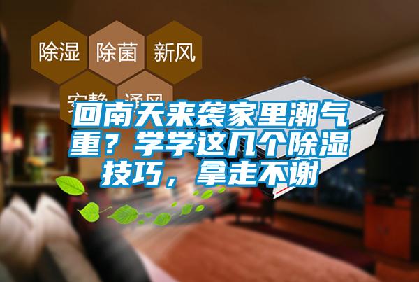 回南天来袭家里潮气重？学学这几个除湿技巧，拿走不谢