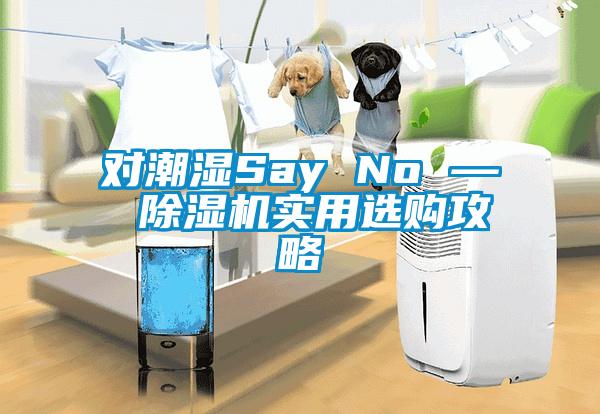 对潮湿Say No — 芭乐APP下载官网入口新版实用选购攻略