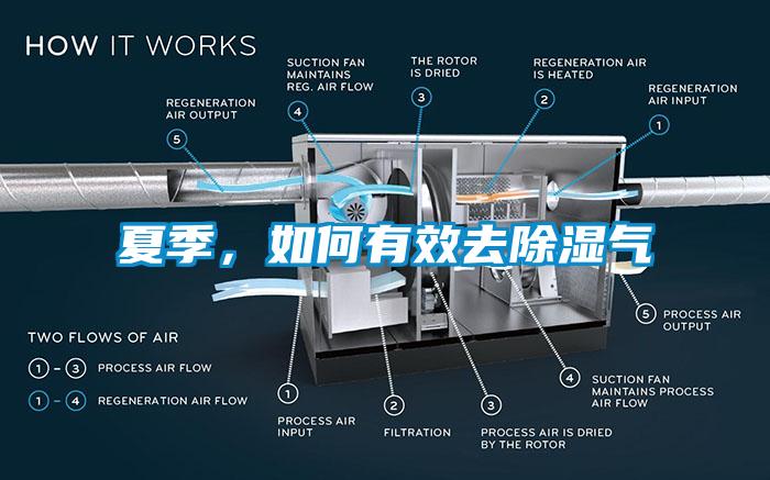 夏季，如何有效去除湿气