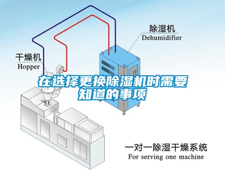 在选择更换芭乐APP下载官网入口新版时需要知道的事项