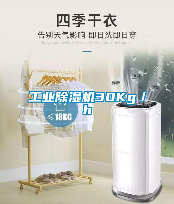 工业芭乐APP下载官网入口新版30Kg／h