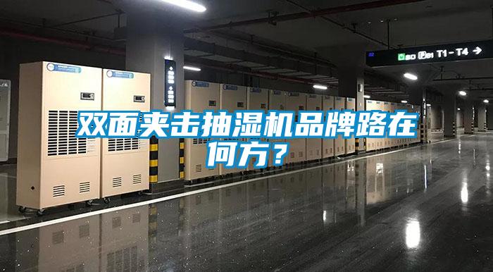 双面夹击抽湿机品牌路在何方？