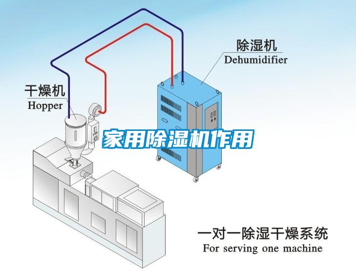 家用芭乐APP下载官网入口新版作用