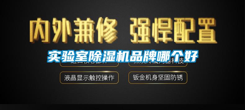 实验室芭乐APP下载官网入口新版品牌哪个好