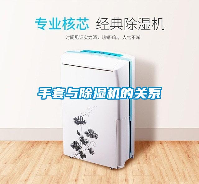 手套与芭乐APP下载官网入口新版的关系