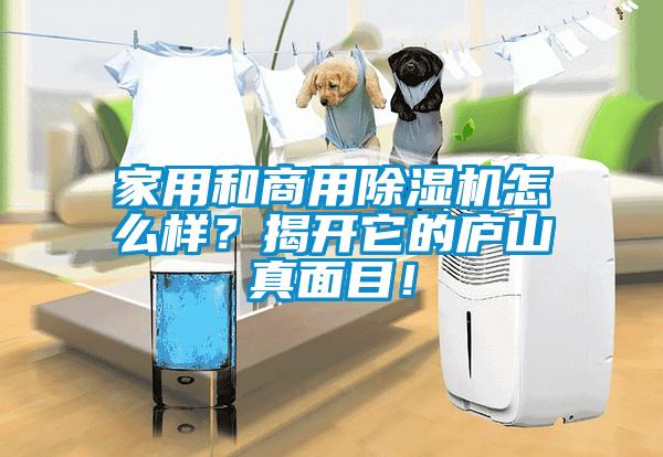 家用和商用芭乐APP下载官网入口新版怎么样？揭开它的庐山真面目！