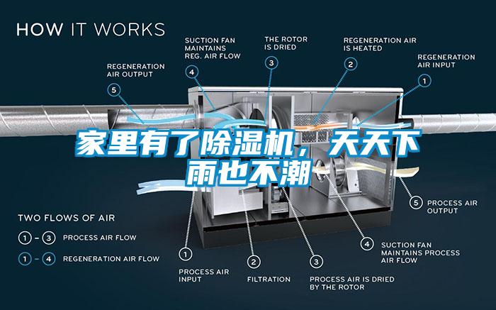 家里有了芭乐APP下载官网入口新版，天天下雨也不潮