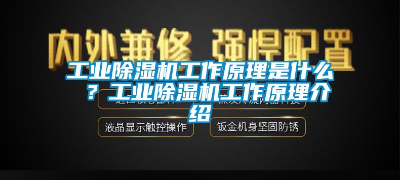 工业芭乐APP下载官网入口新版工作原理是什么 ？工业芭乐APP下载官网入口新版工作原理介绍