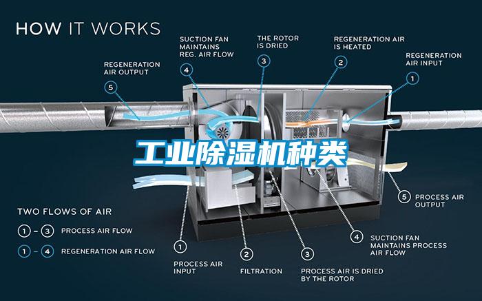 工业芭乐APP下载官网入口新版种类