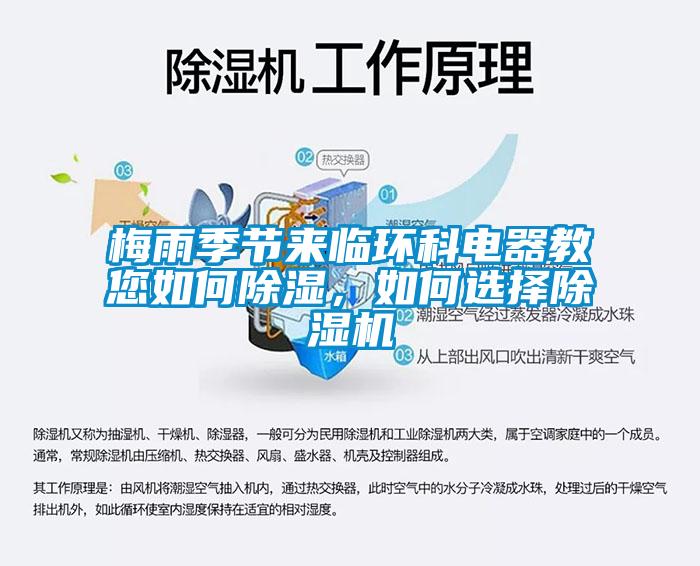 梅雨季节来临环科电器教您如何除湿，如何选择芭乐APP下载官网入口新版