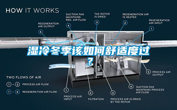 湿冷冬季该如何舒适度过？