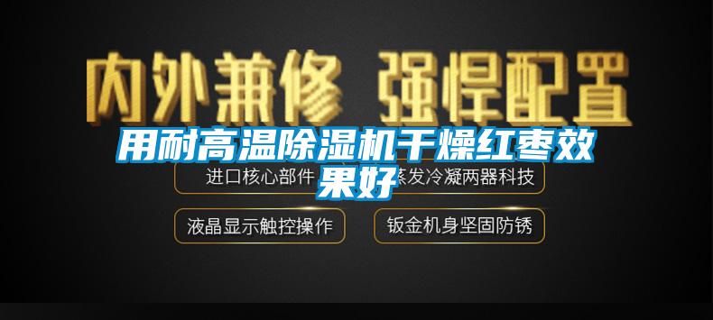 用耐高温芭乐APP下载官网入口新版干燥红枣效果好