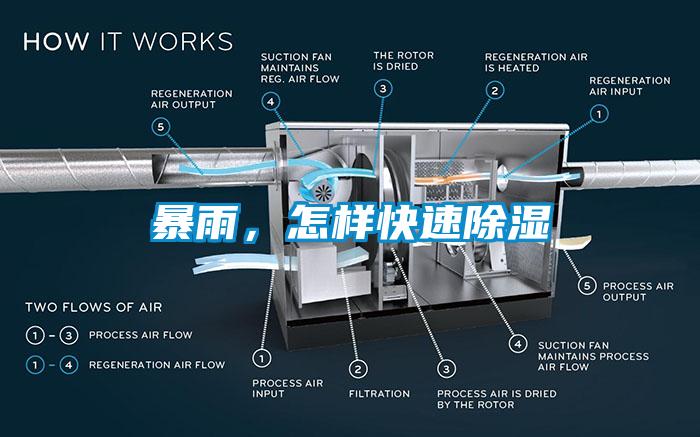 暴雨，怎样快速除湿