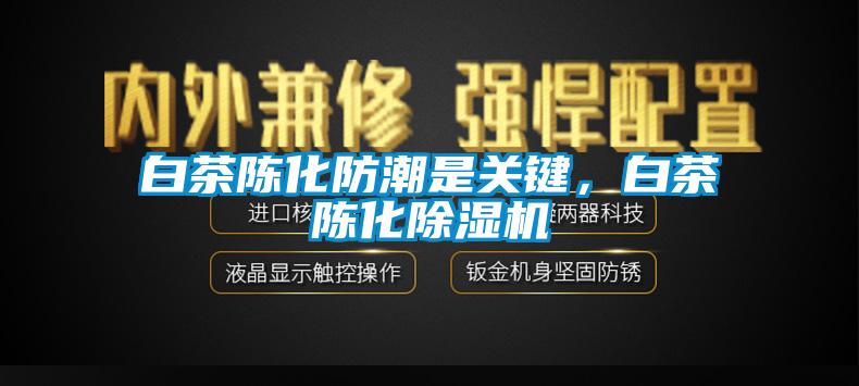 白茶陈化防潮是关键，白茶陈化芭乐APP下载官网入口新版