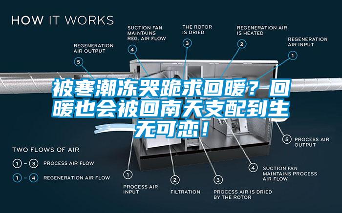 被寒潮冻哭跪求回暖？回暖也会被回南天支配到生无可恋！