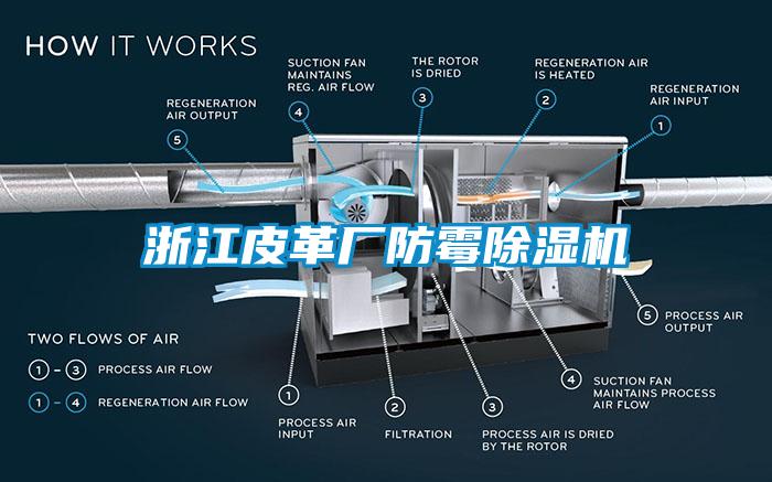 浙江皮革厂防霉芭乐APP下载官网入口新版