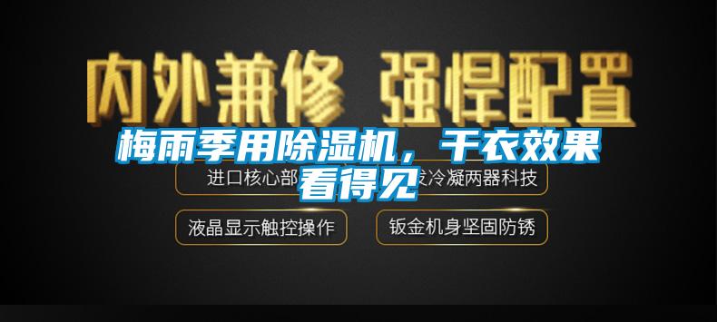 梅雨季用芭乐APP下载官网入口新版，干衣效果看得见