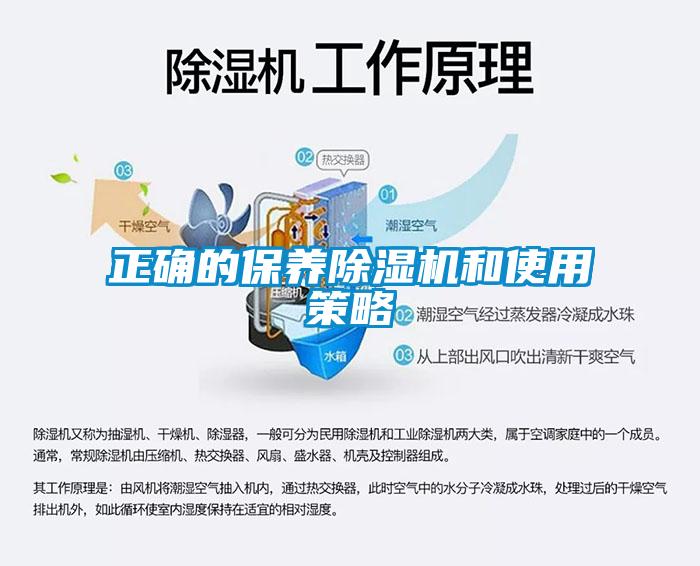 正确的保养芭乐APP下载官网入口新版和使用策略