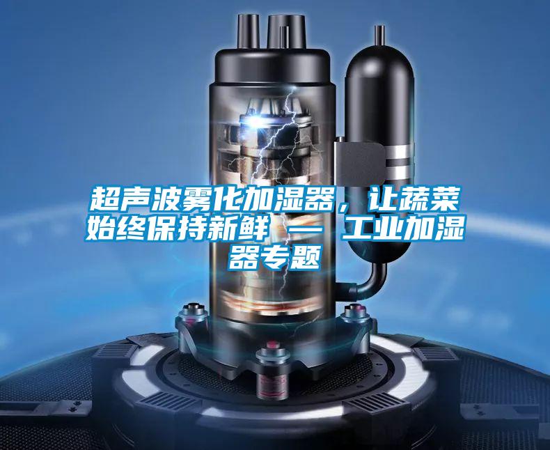 超声波雾化加湿器，让蔬菜始终保持新鲜 — 工业加湿器专题