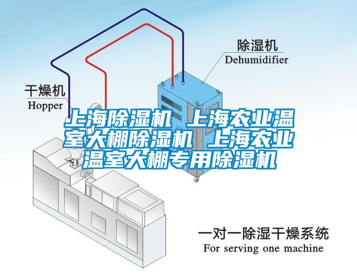 上海芭乐APP下载官网入口新版 上海农业温室大棚芭乐APP下载官网入口新版 上海农业温室大棚专用芭乐APP下载官网入口新版