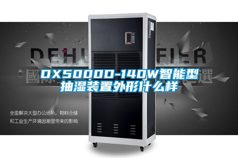 DX5000D-140W智能型抽湿装置外形什么样