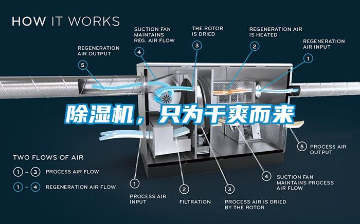 芭乐APP下载官网入口新版，只为干爽而来