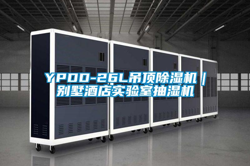 YPDD-26L吊顶芭乐APP下载官网入口新版｜别墅酒店实验室抽湿机