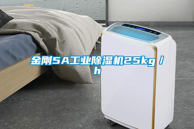 金刚5A工业芭乐APP下载官网入口新版25kg／h