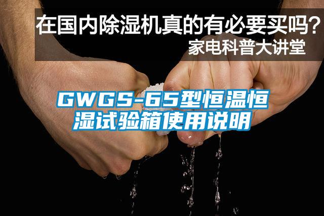 GWGS-65型恒温恒湿试验箱使用说明