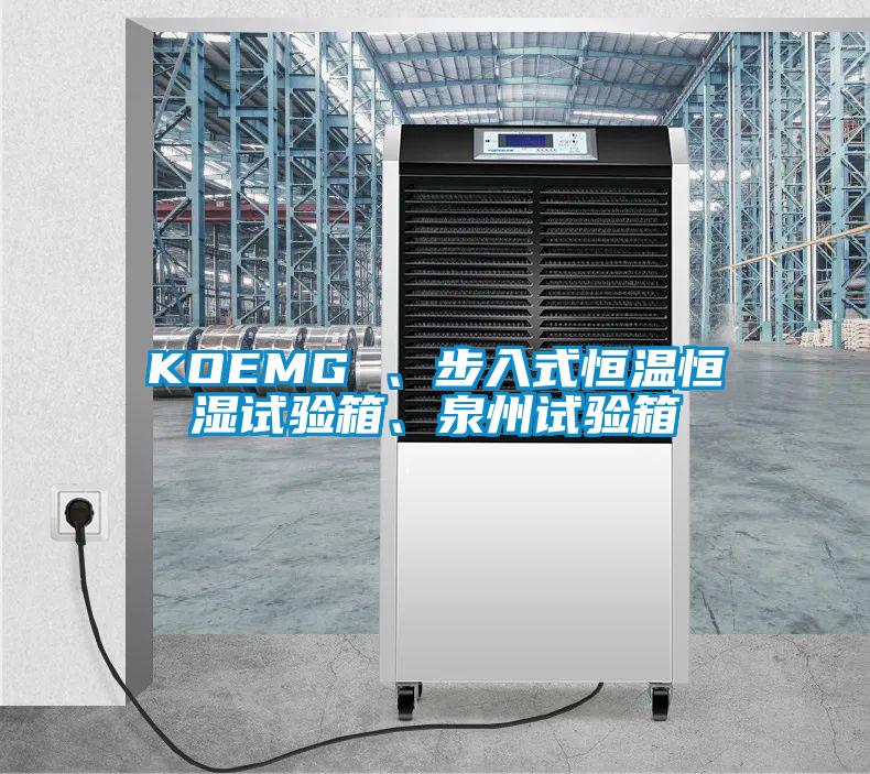 KOEMG 、步入式恒温恒湿试验箱、泉州试验箱