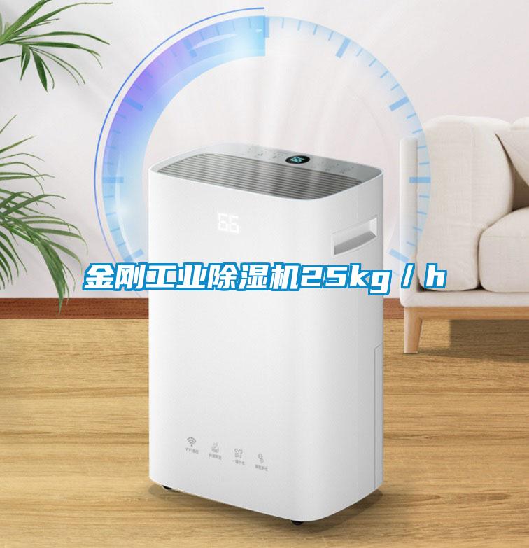 金刚工业芭乐APP下载官网入口新版25kg／h