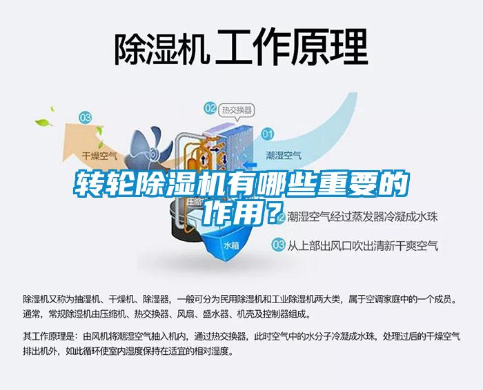 转轮芭乐APP下载官网入口新版有哪些重要的作用？