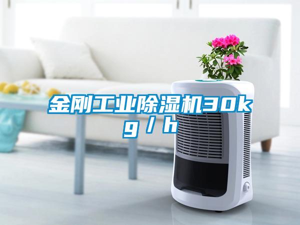 金刚工业芭乐APP下载官网入口新版30kg／h