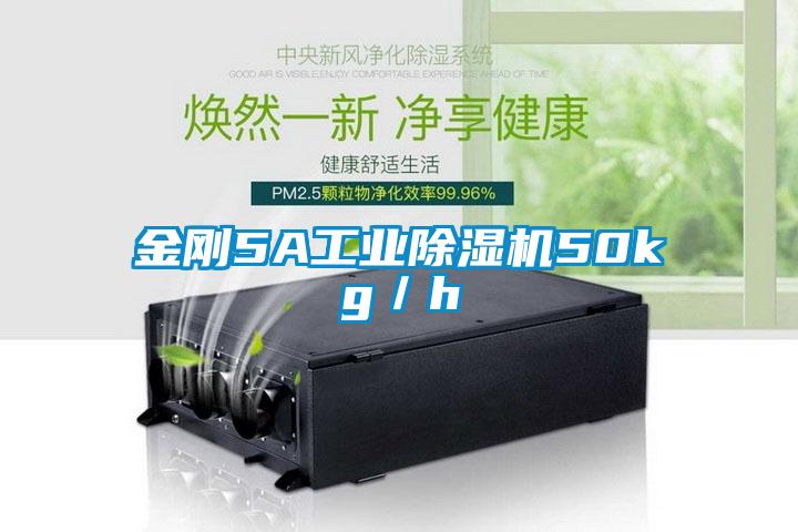 金刚5A工业芭乐APP下载官网入口新版50kg／h