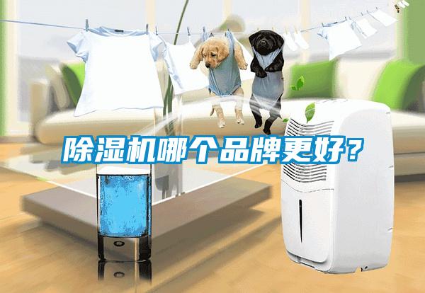 芭乐APP下载官网入口新版哪个品牌更好？