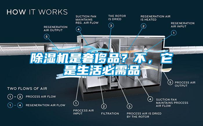 芭乐APP下载官网入口新版是奢侈品？不，它是生活必需品