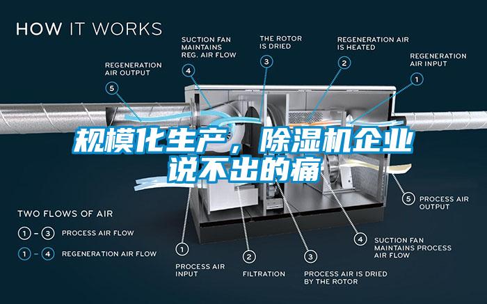 规模化生产，芭乐APP下载官网入口新版企业说不出的痛