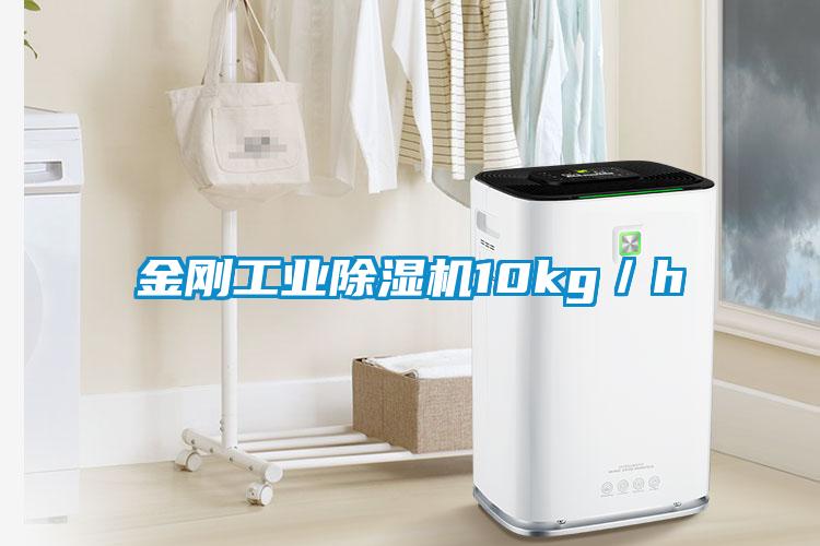 金刚工业芭乐APP下载官网入口新版10kg／h