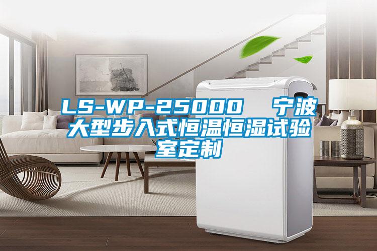 LS-WP-25000  宁波大型步入式恒温恒湿试验室定制