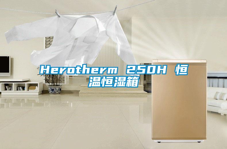 Herotherm 250H 恒温恒湿箱