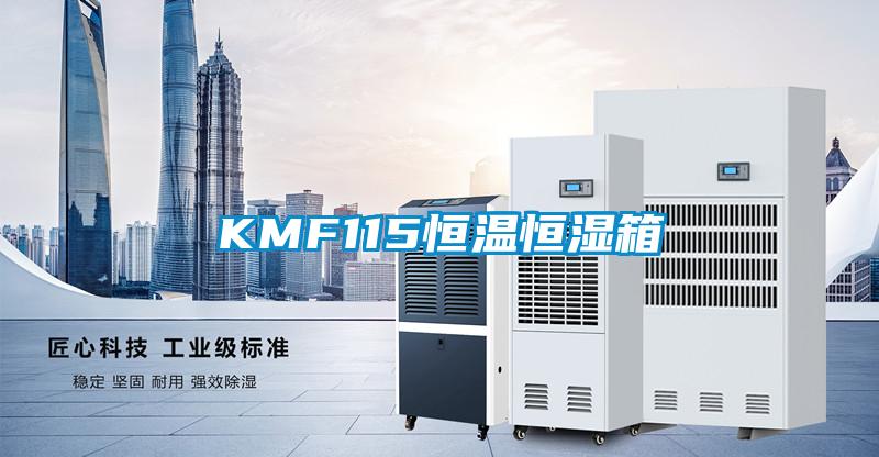 KMF115恒温恒湿箱