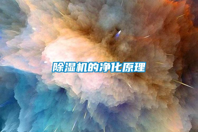 芭乐APP下载官网入口新版的净化原理