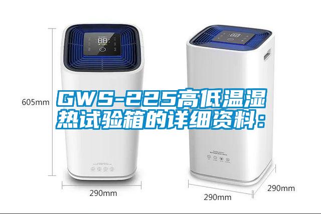 GWS-225高低温湿热试验箱的详细资料：